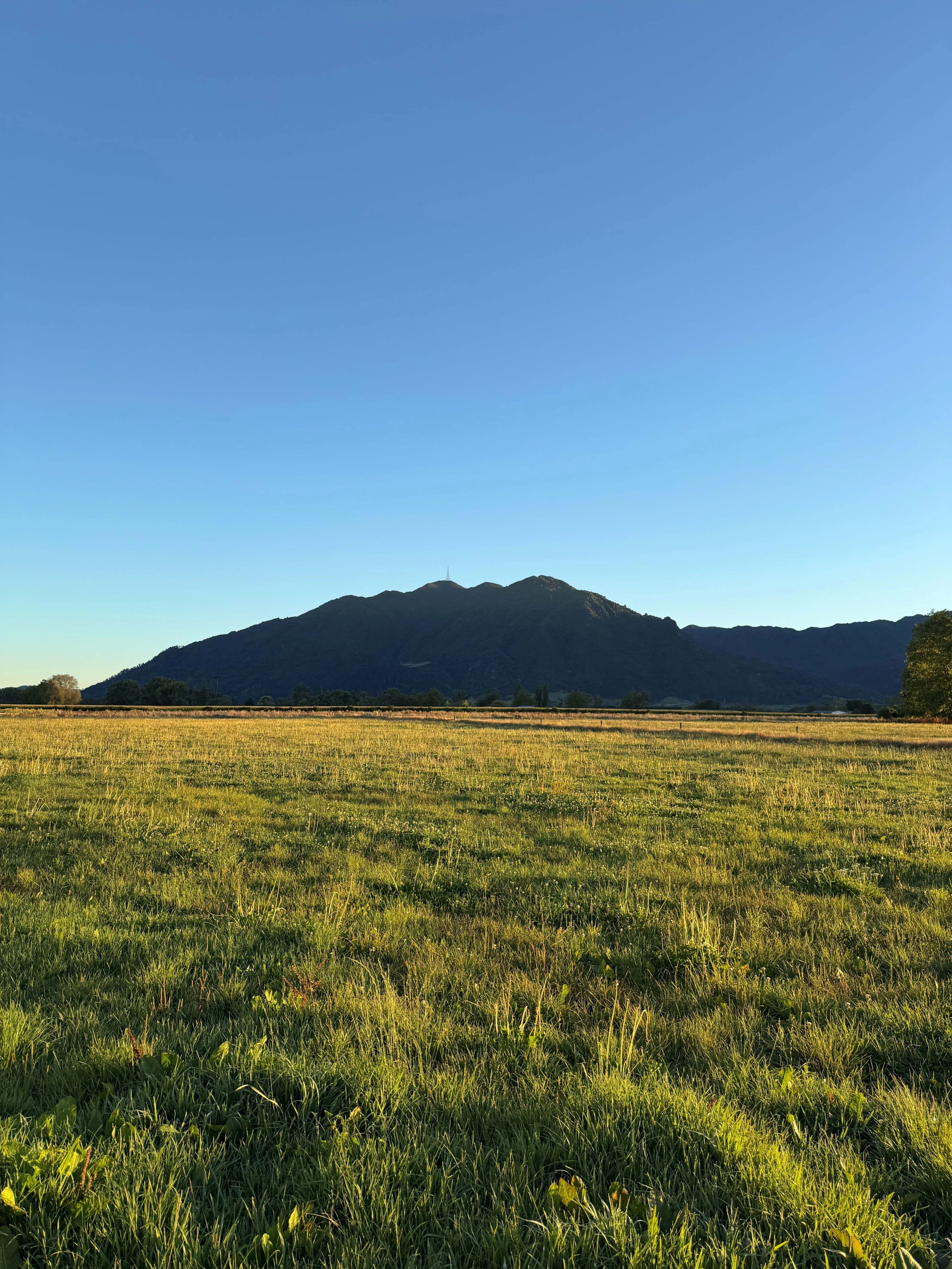 Karakia Mt Te Aroha 3m