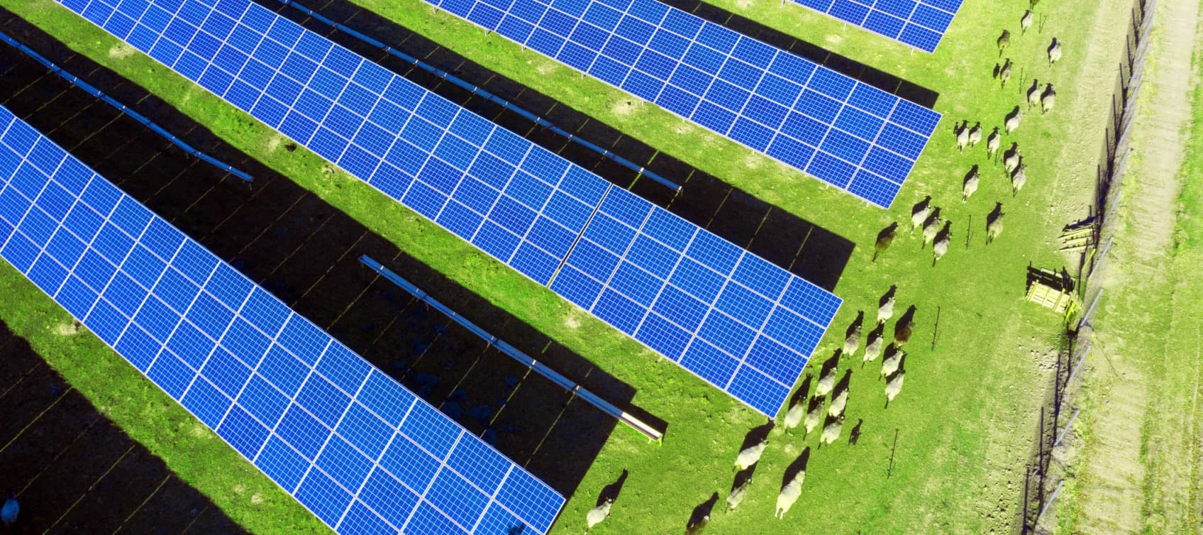 Harmony and First Renewables image HERO