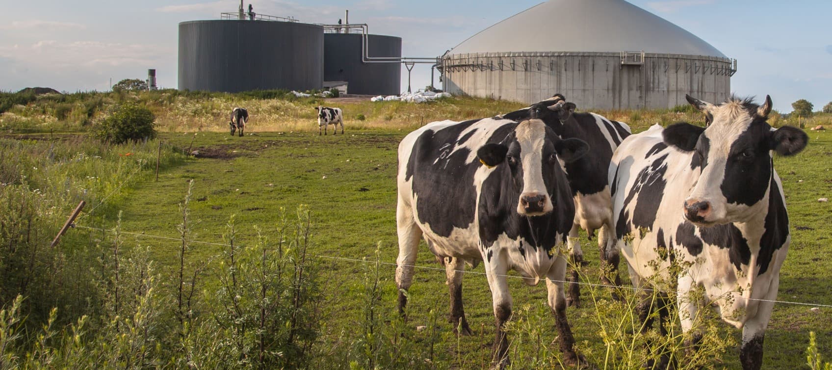 biogas denmark