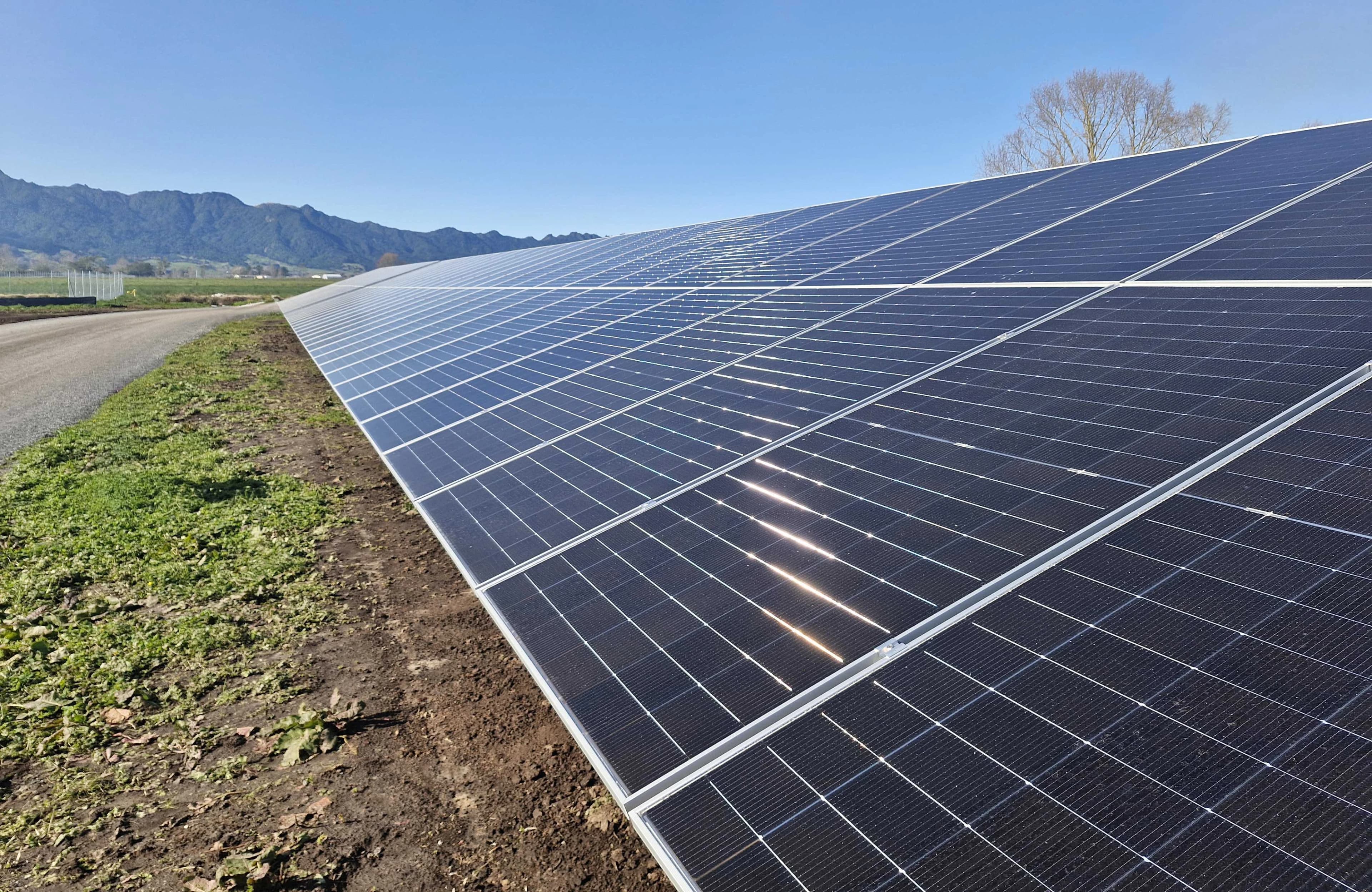 20250724 125929 removedbg