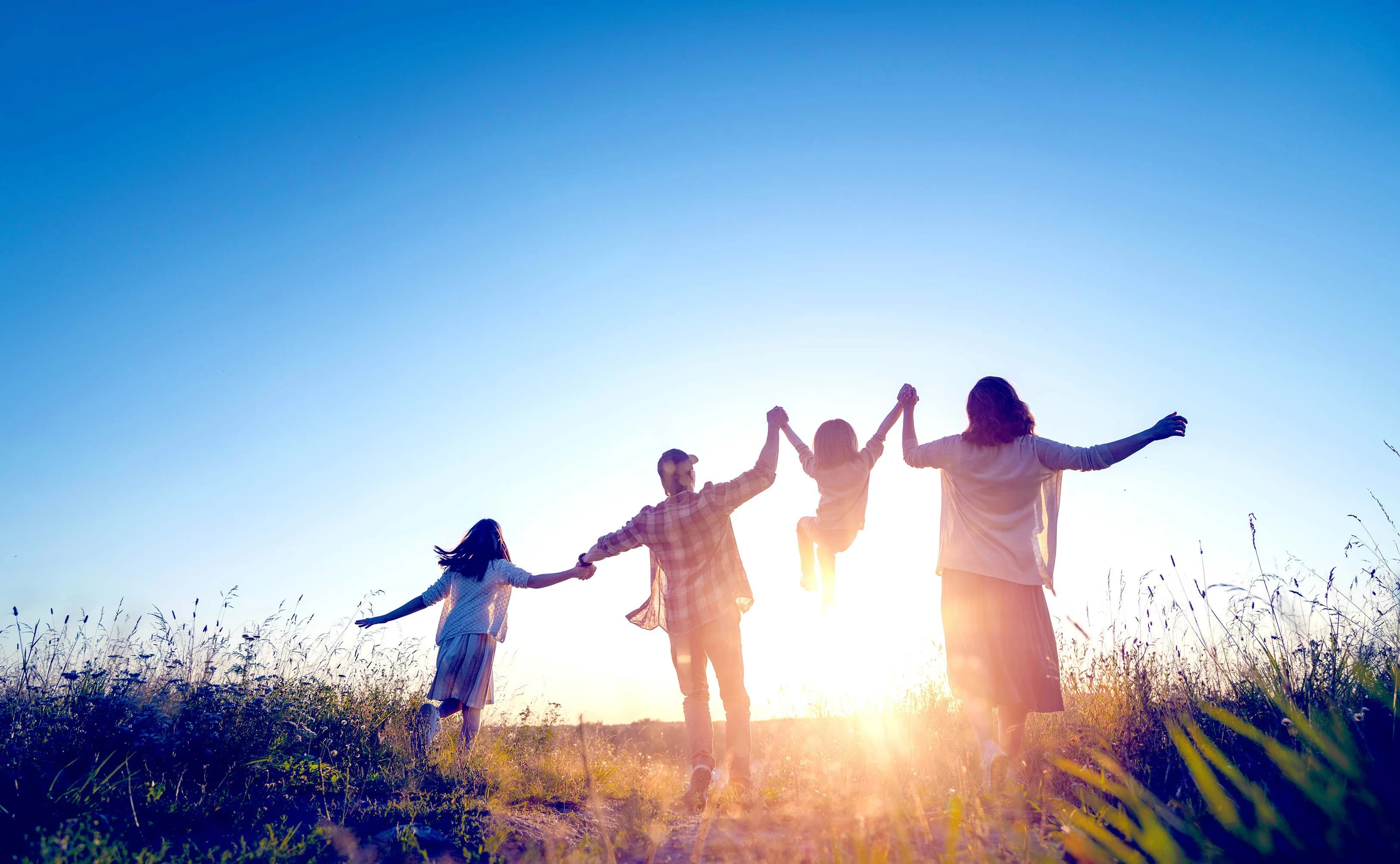 43 shutterstock 2192513265 highres