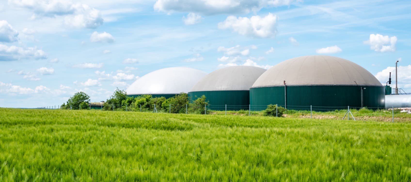 Biogas digesters