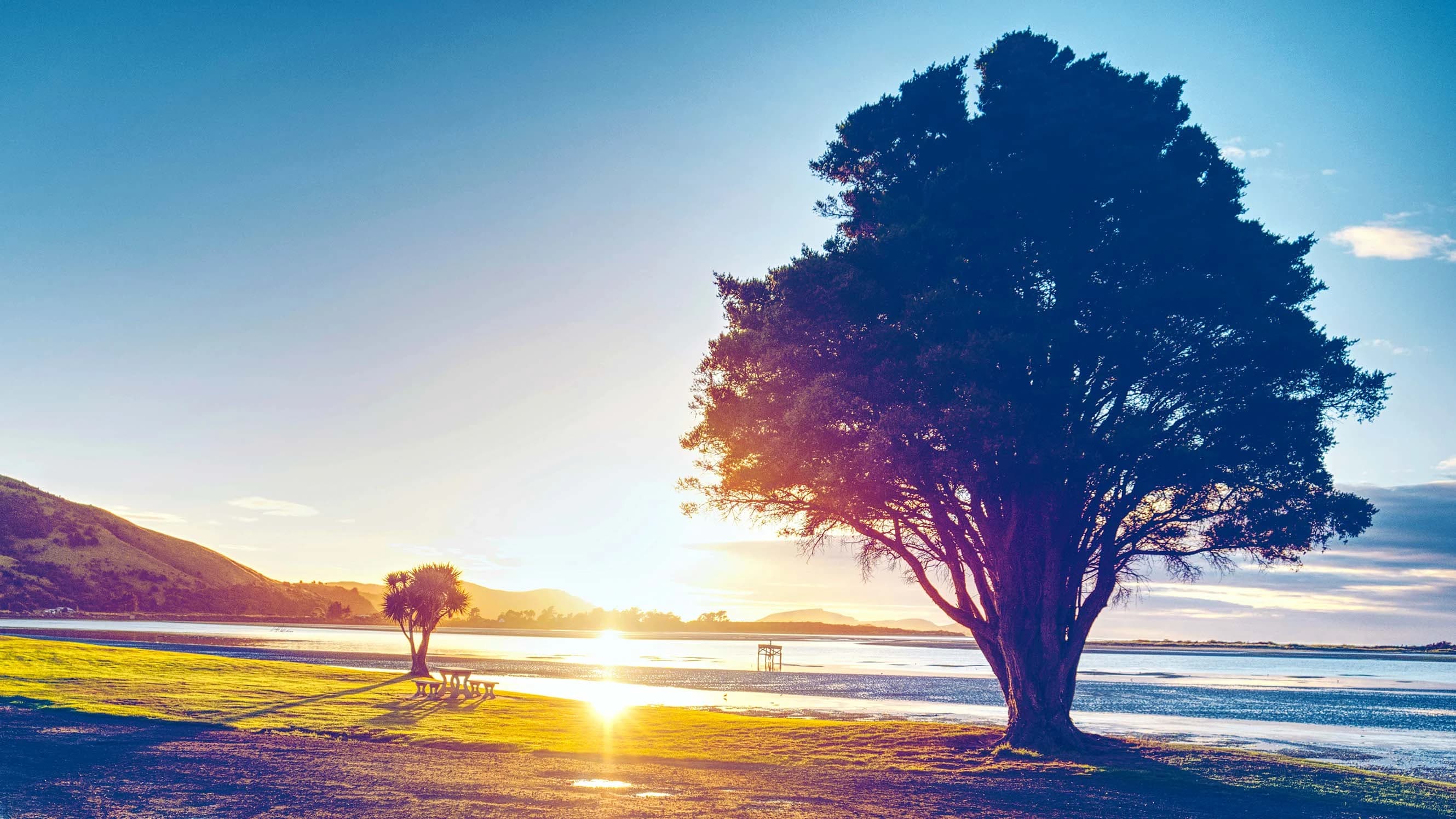 51 thomas kupper HDyYJ8eo8dM unsplash